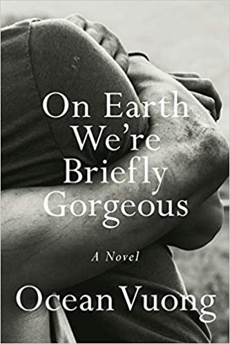 On Earth We're Briefly Gorgeous: A Novel (PDF) (Print)