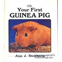 Your first guinea pig