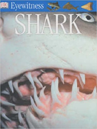 Shark (Eyewitness)