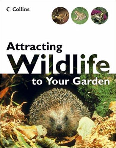 Attracting Wildlife To Your Garden