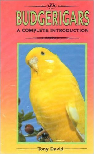 A complete introduction to budgerigars.