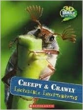 3d Animals In Actions: Creepy & Crawly (incredible Invertebrates)