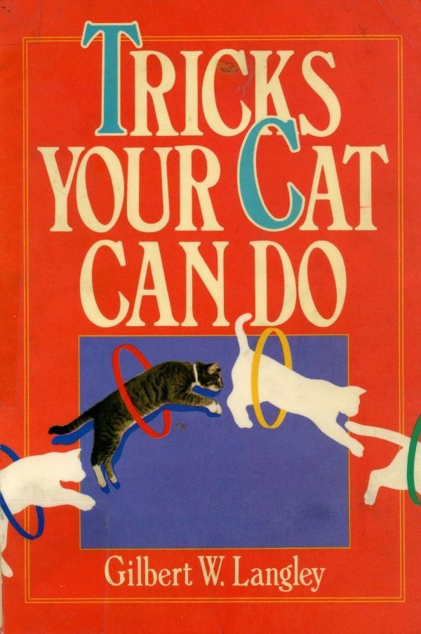 Tricks your cat can do