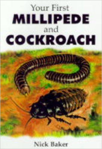 Your First Millipede and Cockroach (Your First Pet)