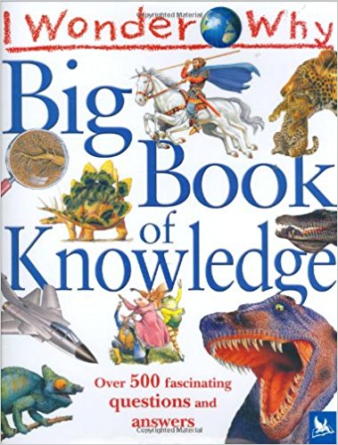 I Wonder Why Big Book of Knowledge