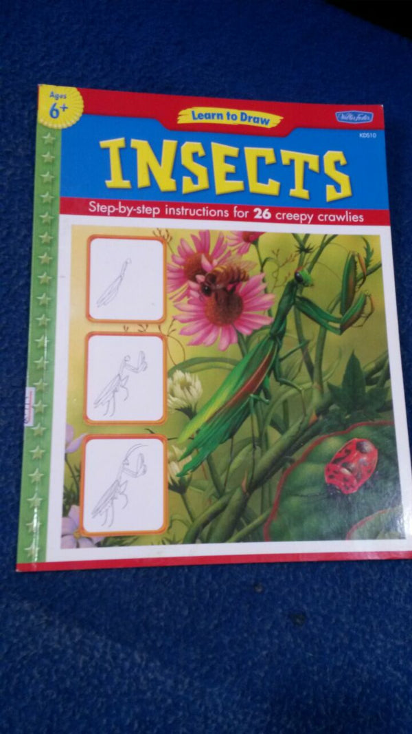 Learn to draw INSECTS