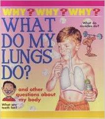 What do my lungs do?, What are teeth for? What do muscles do? and other questions about my body (Why, Why, Why)