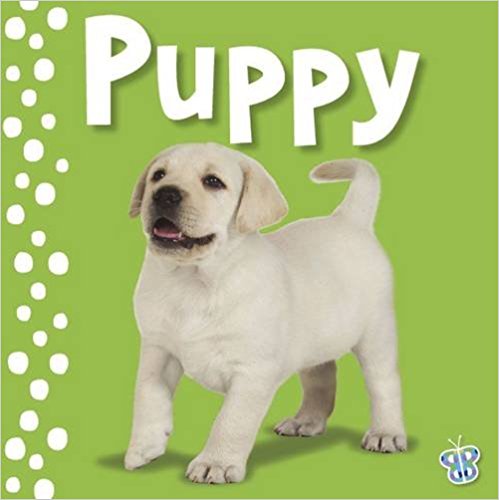 Touch and Feel Puppy (Busy Baby)