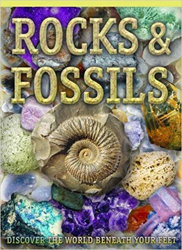 Rocks and Fossils