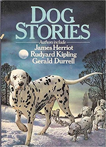 Dog Stories