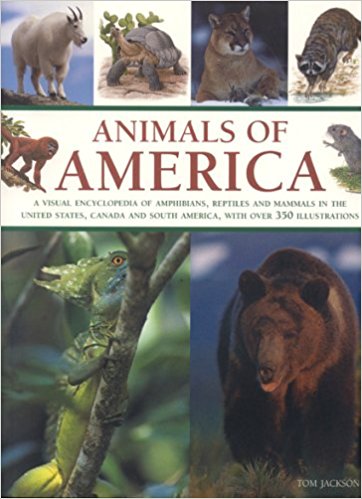 Animals of America