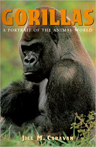 Gorillas (A Portrait of the Animal World)