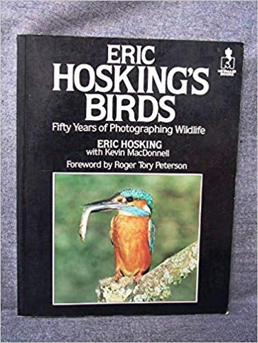 Eric Hosking's birds