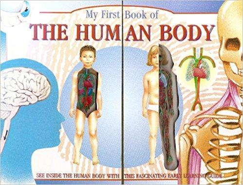 The Human Body : (My First Book Of) Board book