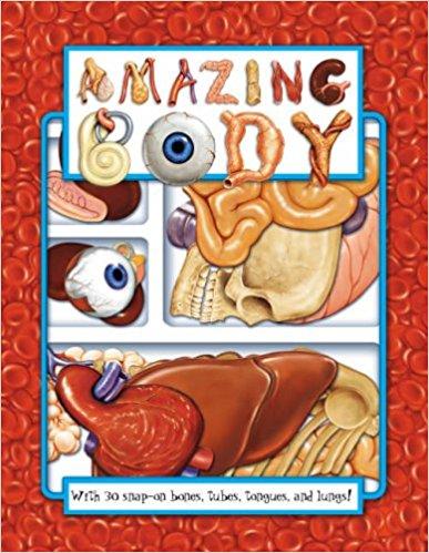 Amazing Body board book puzzle