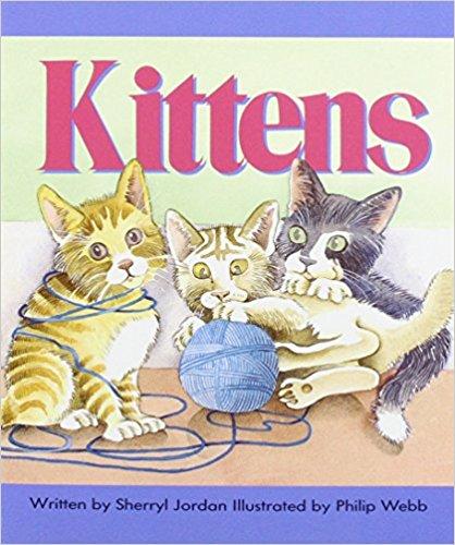 GR - KITTENS