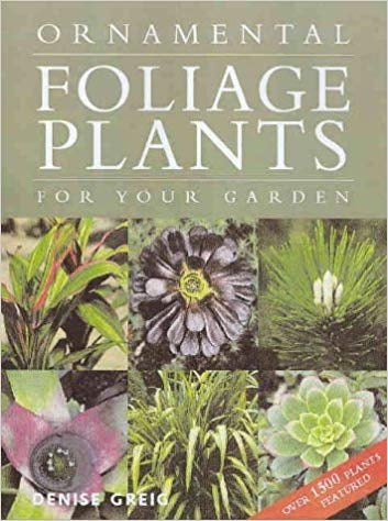 Ornamental Foliage Plants for Your Garden