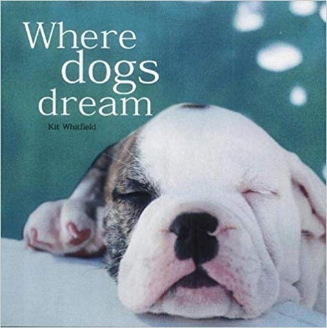 Where Dogs Dream (Gift Book)