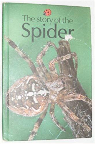 The Story of the Spider (Natural History)