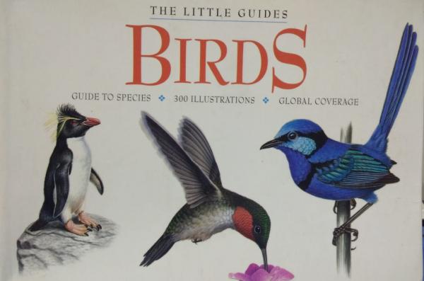 Birds (Little Guides)