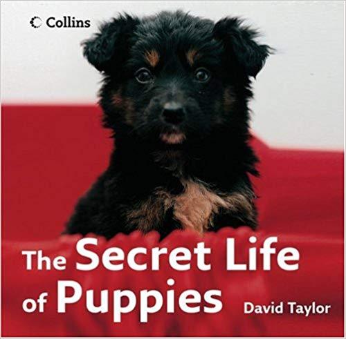 The Secret Life of Puppies