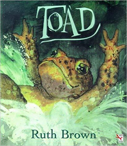 Toad (Red Fox Picture Books)