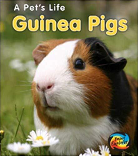 Guinea Pigs (A Pet's Life)