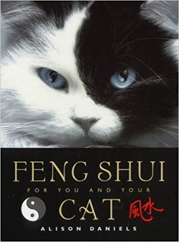 Feng Shui For You And Your Cat