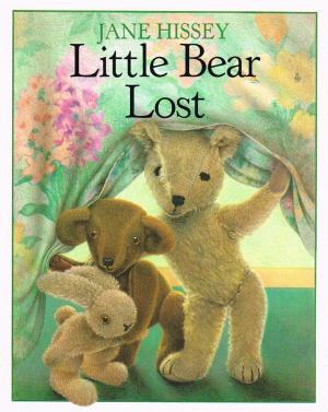 Little Lost Bear