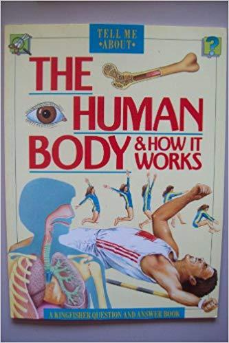 The Human Body And How It Works