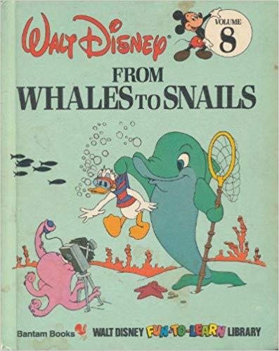 From Whales to Snails: 8 (Disney's Fun to Learn Ser)