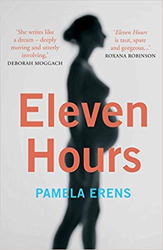 Eleven Hours: A Novel Illuminating the Most Life-Altering Experience of Any Woman's Life: Pregnancy, Labour and Giving Birth