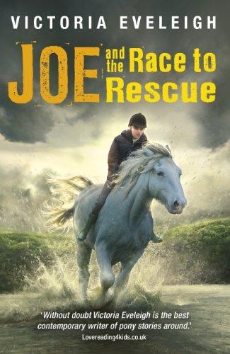 The Horseshoe Trilogy: Joe and the Race to Rescue