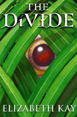 The Divide (The Divide Trilogy Book 1)