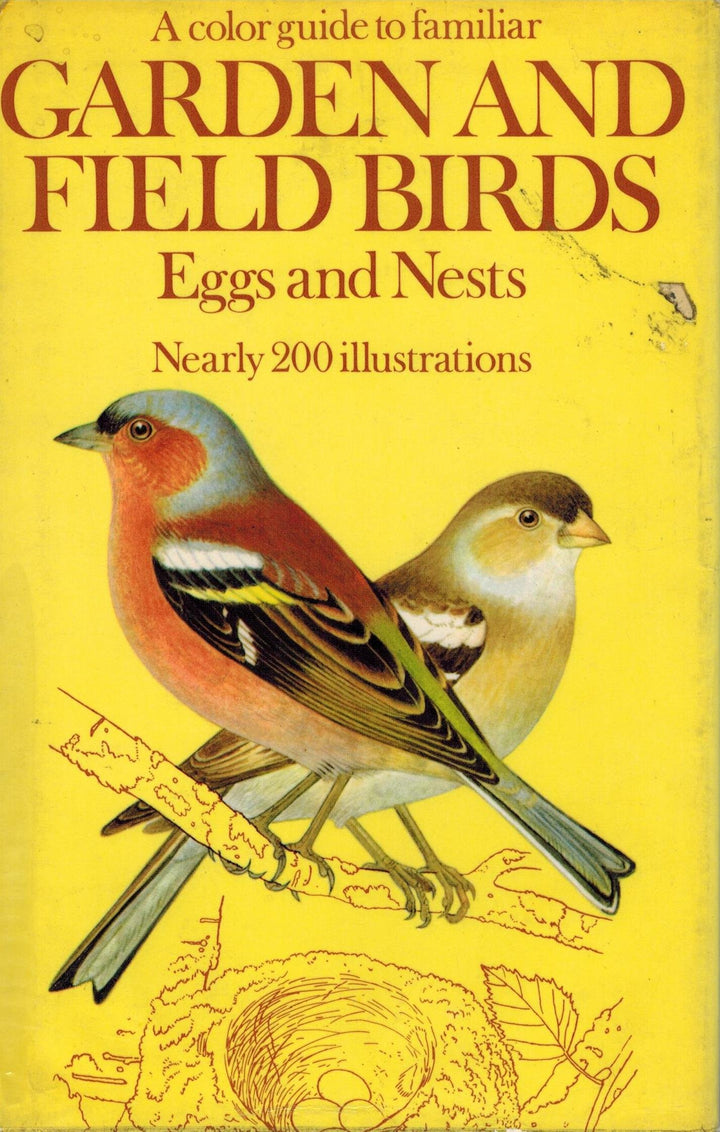 A Field Guide in Colour to Garden & Field Birds "Eggs & Nests"
