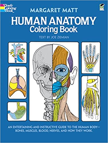 Human Anatomy Colouring Book