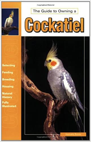Guide to Owning a Cockatiel