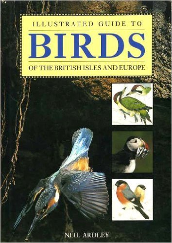 Illustrated Guide to Birds of the British Isle (Illustrated Guide)