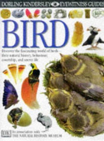 Bird (Eyewitness Guide)