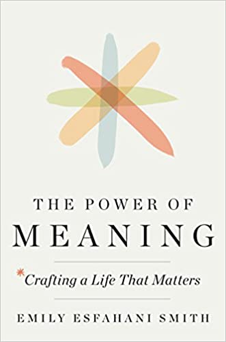 The Power of Meaning Crafting a Life That Matters (PDF) (Print)