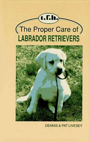 The Proper Care of Labrador Retrievers