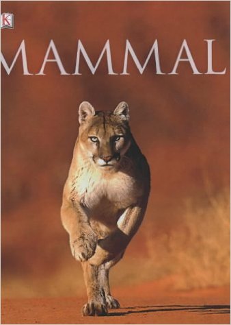 Mammal.