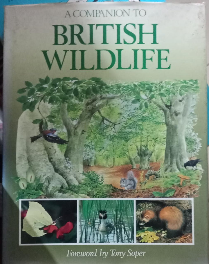 A Companion to British Wildlife