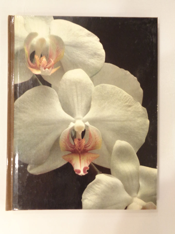 Orchids