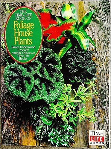 Foliage house plants