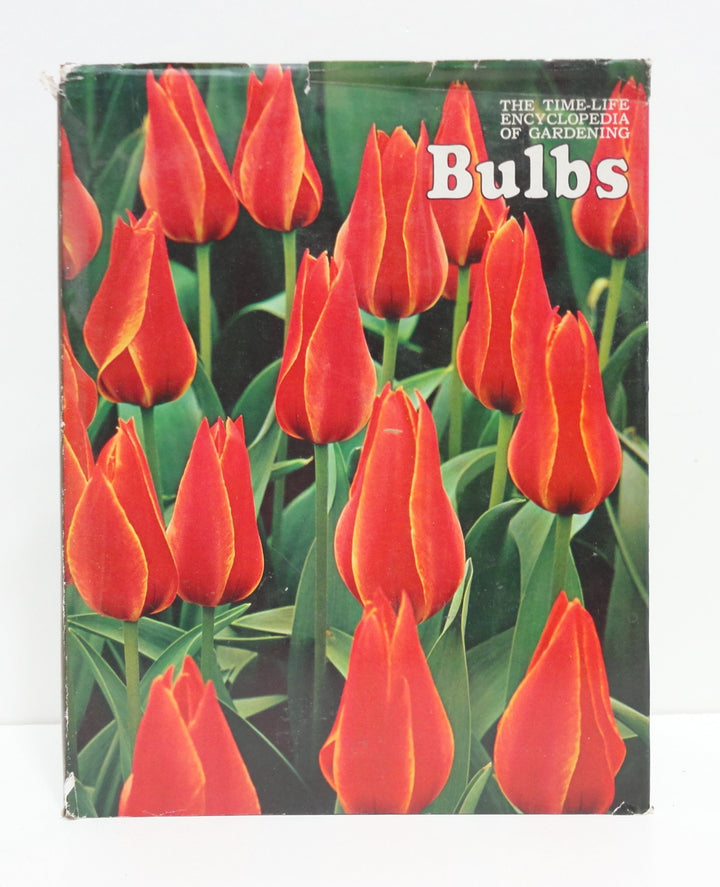 Bulbs