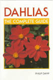 Dahlias