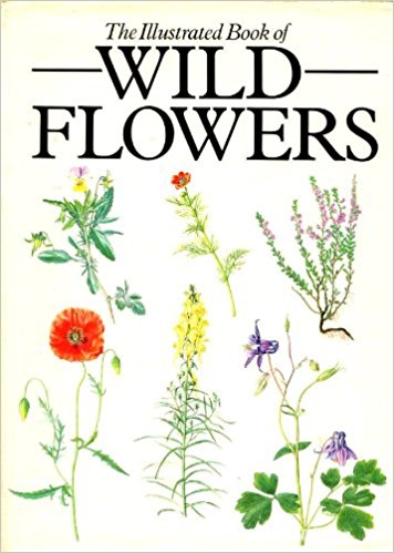 The Illustrated book ofwild flowers