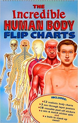 The Incredible Human Body Flip Charts