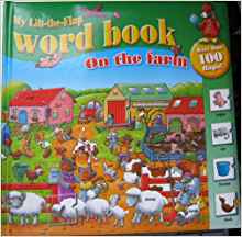 My Lift-the-flap Word Book